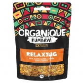 02246 - ORGANIQUE KUMBAYA RELAXING 25GR - 02246