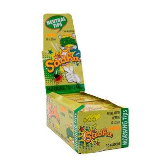 01241 - SADHU PITEIRA DE PAPEL VERGE LARGE