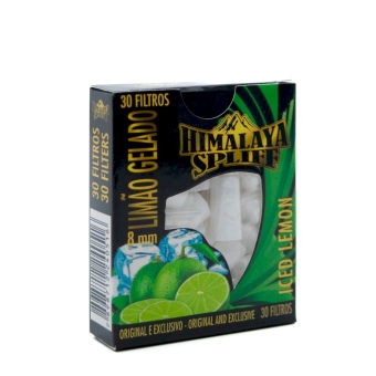 10105 - SADHU FILTRO LIMAO CLICK 8X15