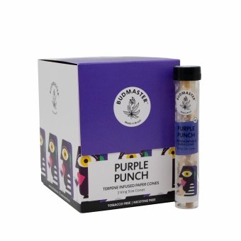 01499 - BUDMASTER PAPER CONE PURPLE PUNCH