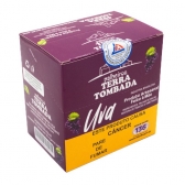 00206 - TERRA TOMBADA UVA PALHEIRO C/20 - 00206