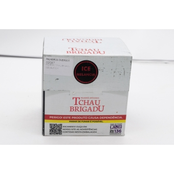 02087 - PALHEIRO TCHAU BRIGADU ICE MELANCIA