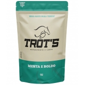 02208 - ERVA MATE TROTS MENTA E BOLDO - 02208
