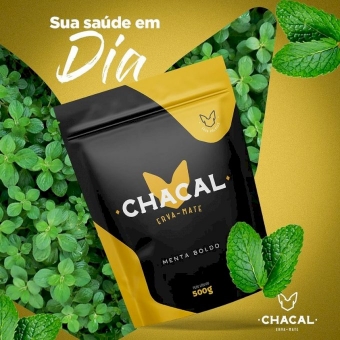00764 - ERVA MATE MENTA BOLDO